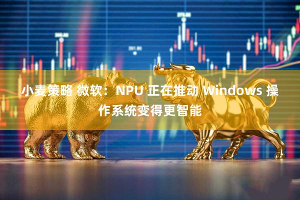 小麦策略 微软：NPU 正在推动 Windows 操作系统变得更智能